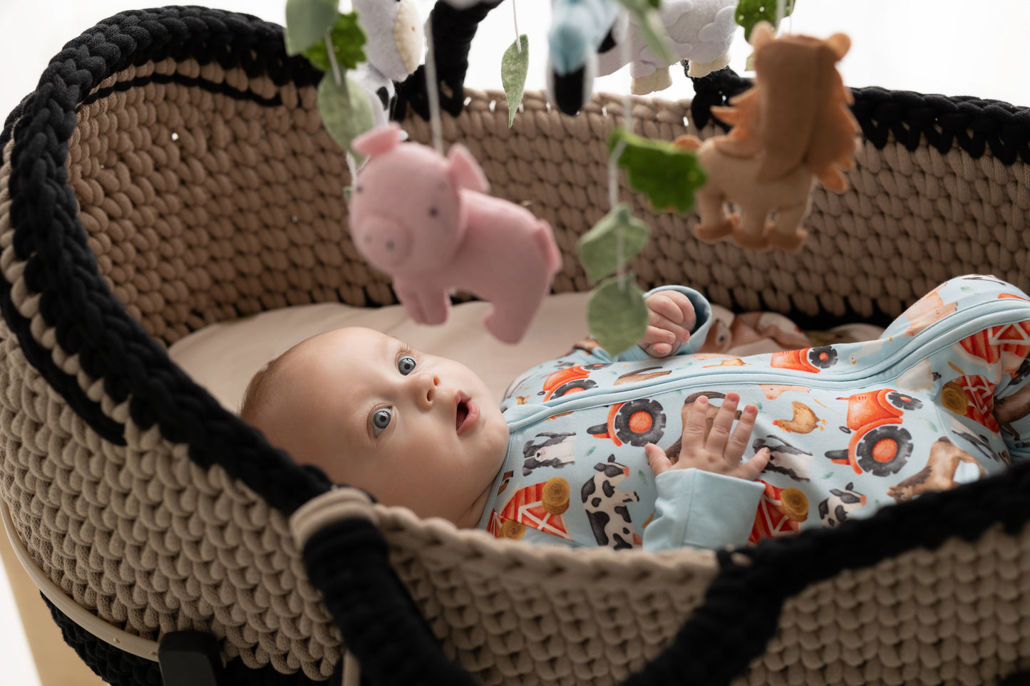2025 Crochet Moses Basket Set (Deposit)