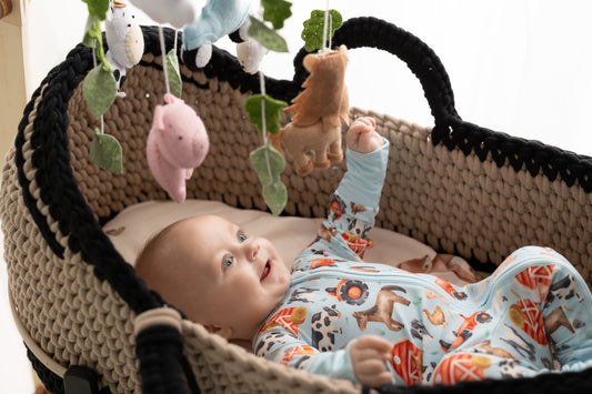 “Old McDonald” Baby Mobile (ONLY)